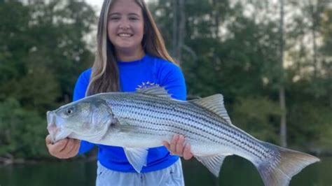 stripersonline|Pro Tips For Fishing For Stripers. Guide To Catching Trophy Bass.